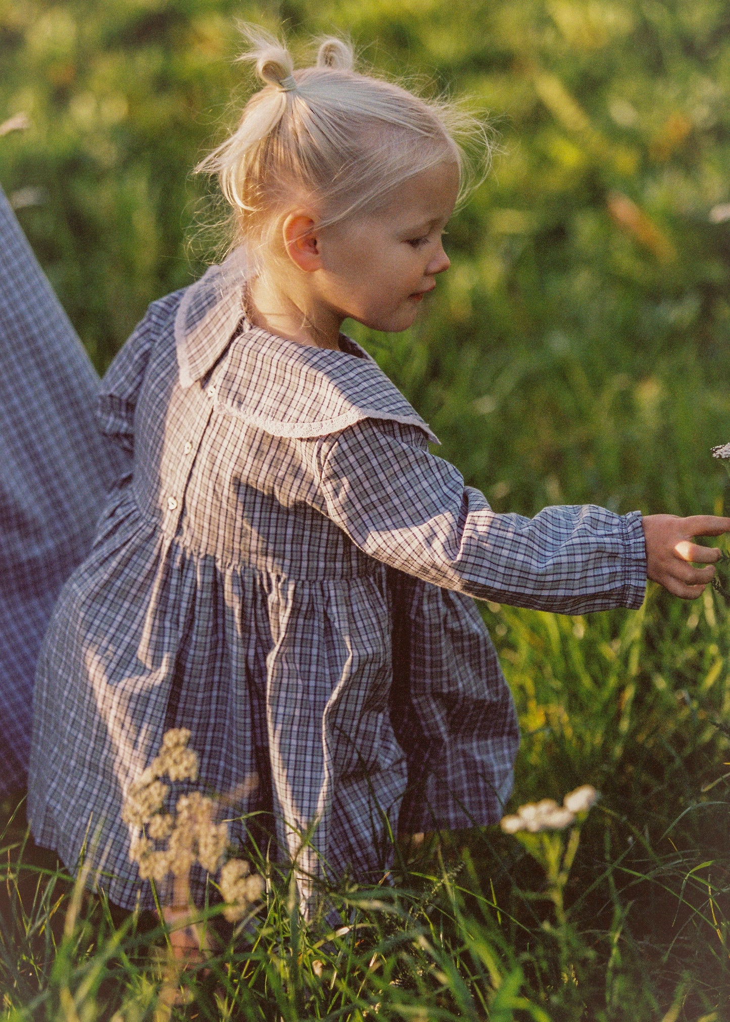 Celine Dress - Check