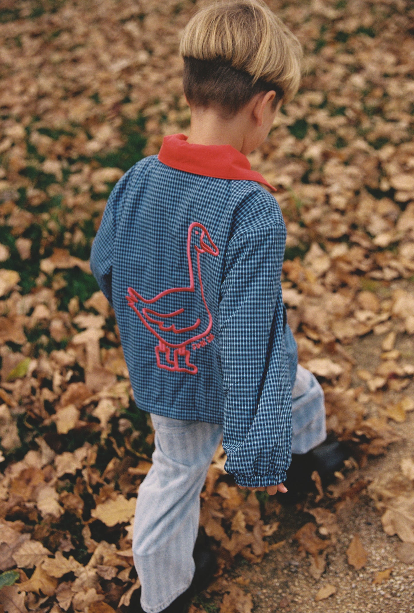 Sammy Padded Bomber - Blue Check