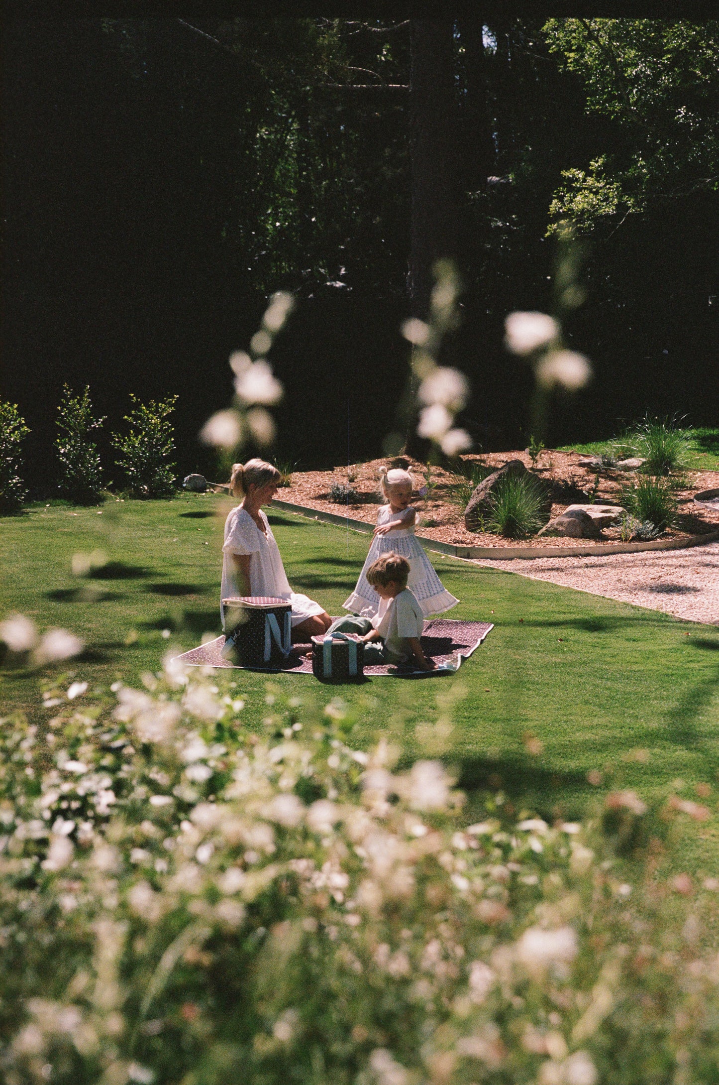 Lunch Cooler Bag - Espresso
