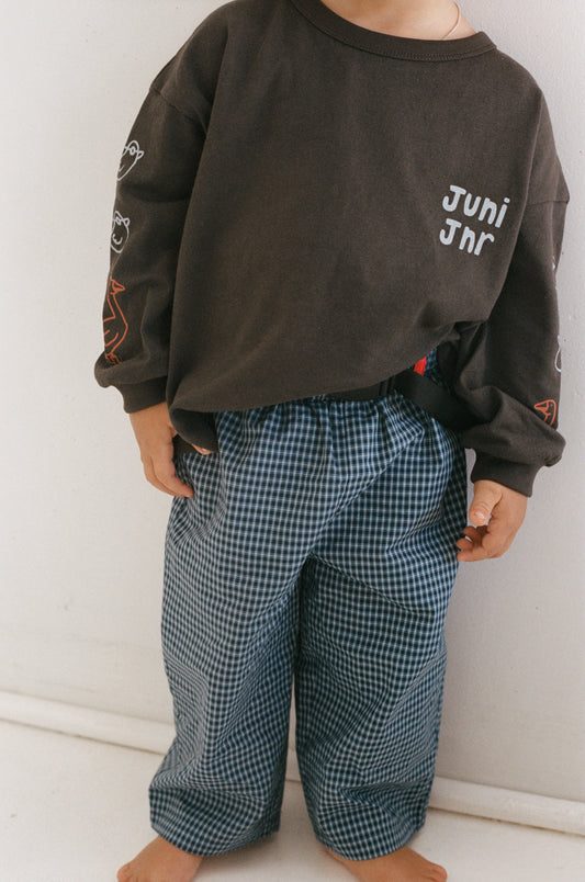 Benji Pant - Blue Check