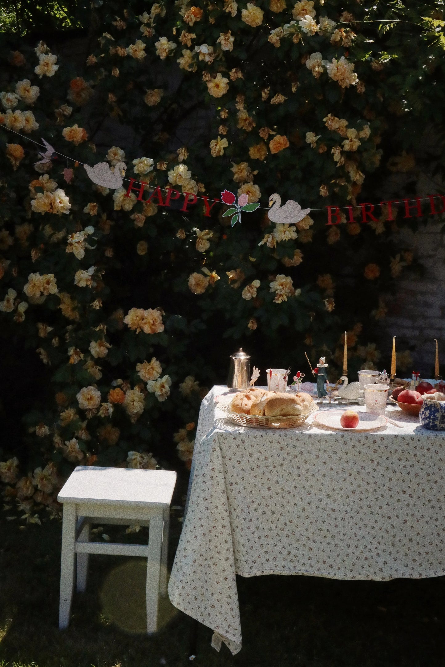 Birthday Train - Clown