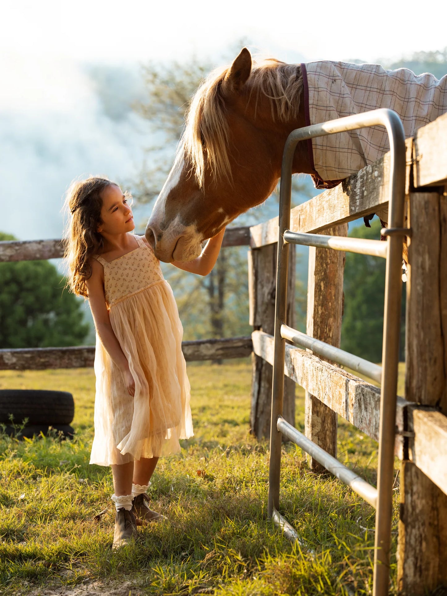 Valencia Tutu - Buttermilk