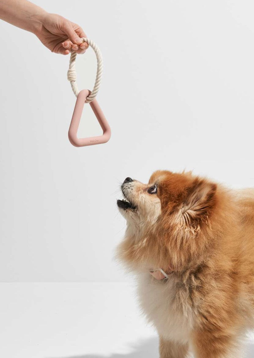 Dog Toy Triangle Tug Small - Blush