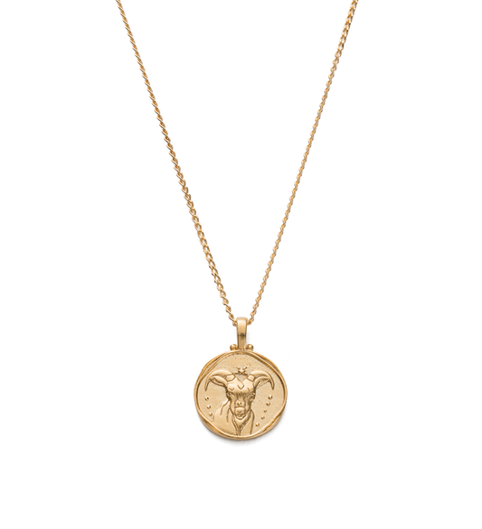 Capricorn Zodiac Necklace
