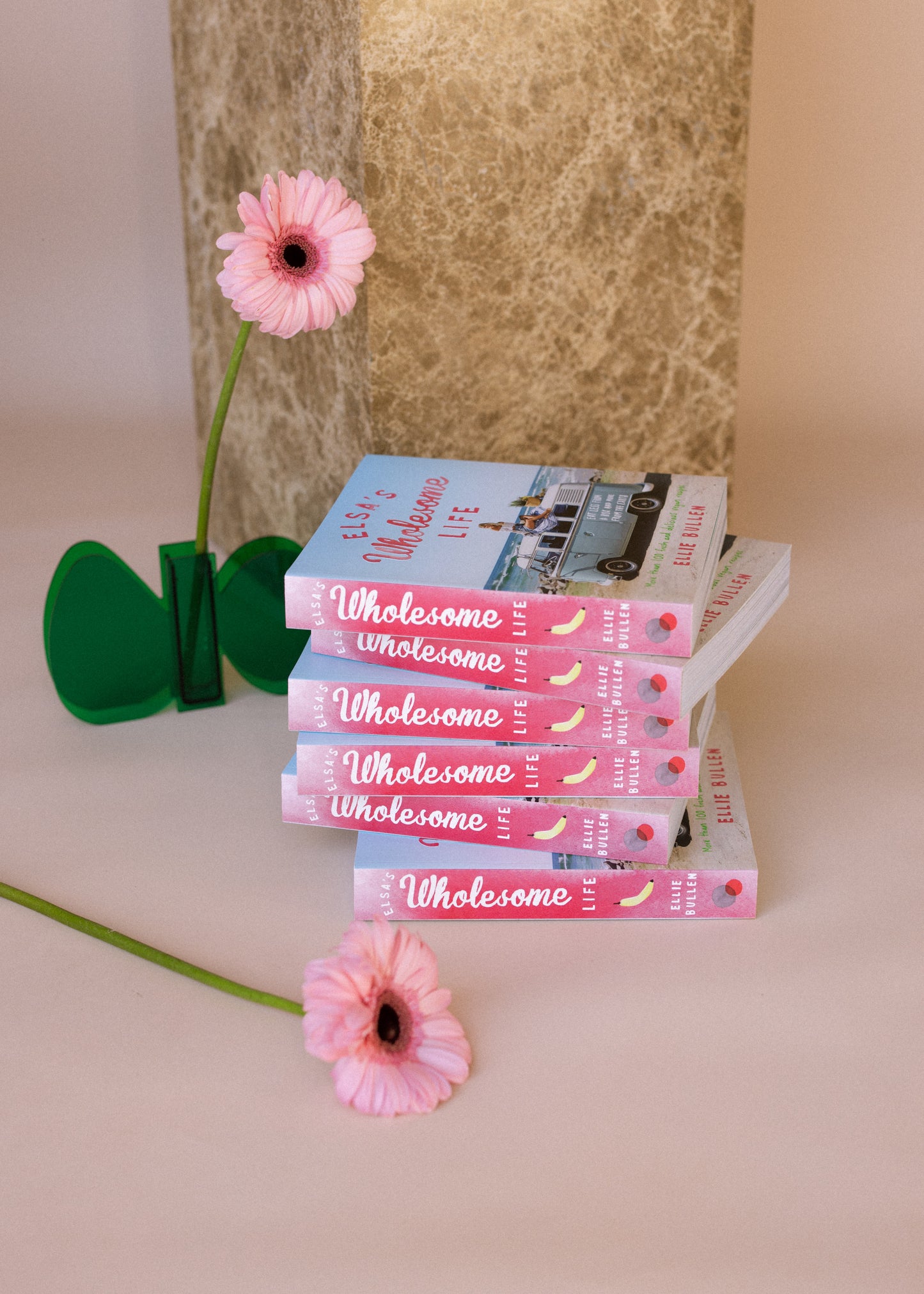 Elsa's Wholesome Life