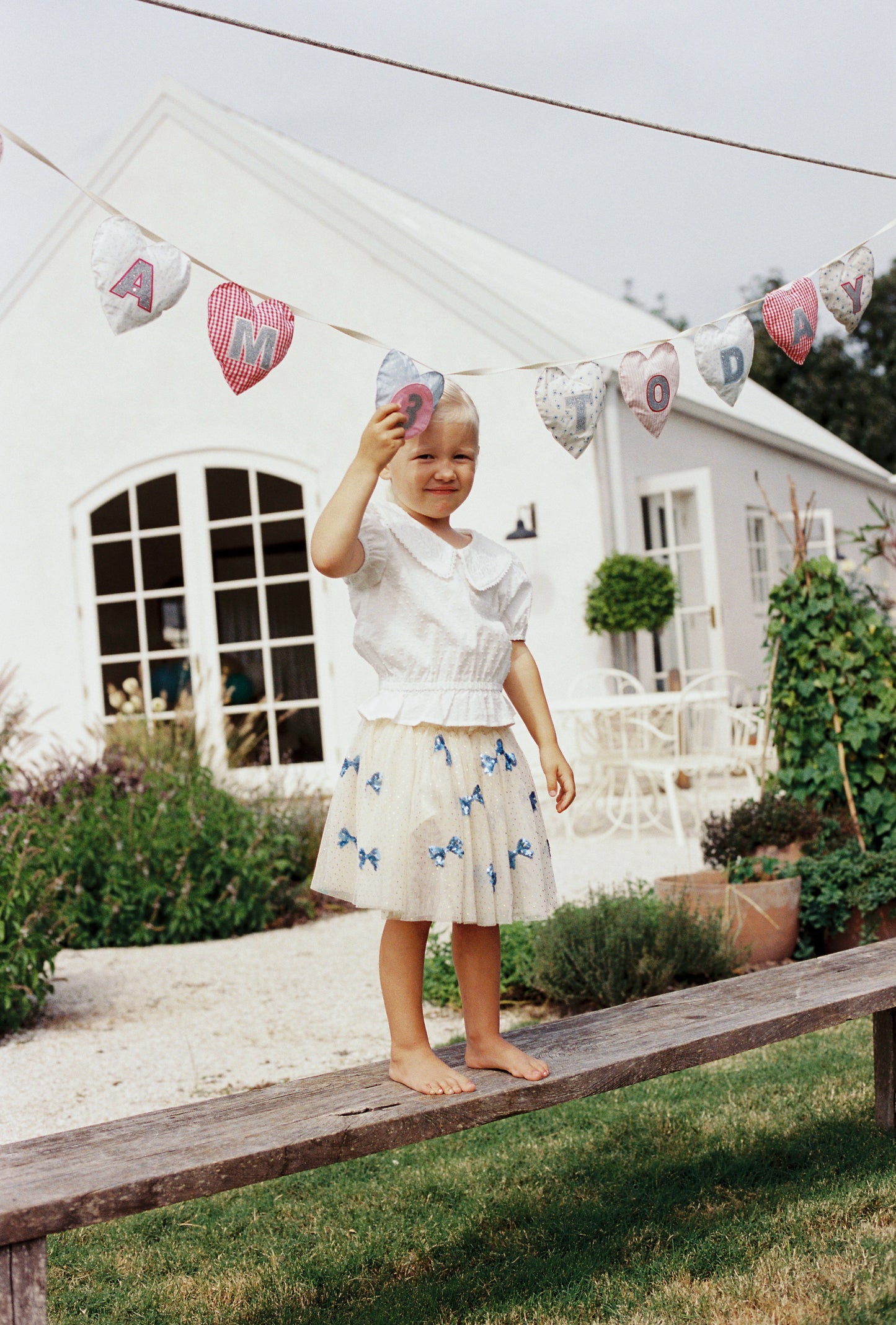 Birthday Banner - Hearts
