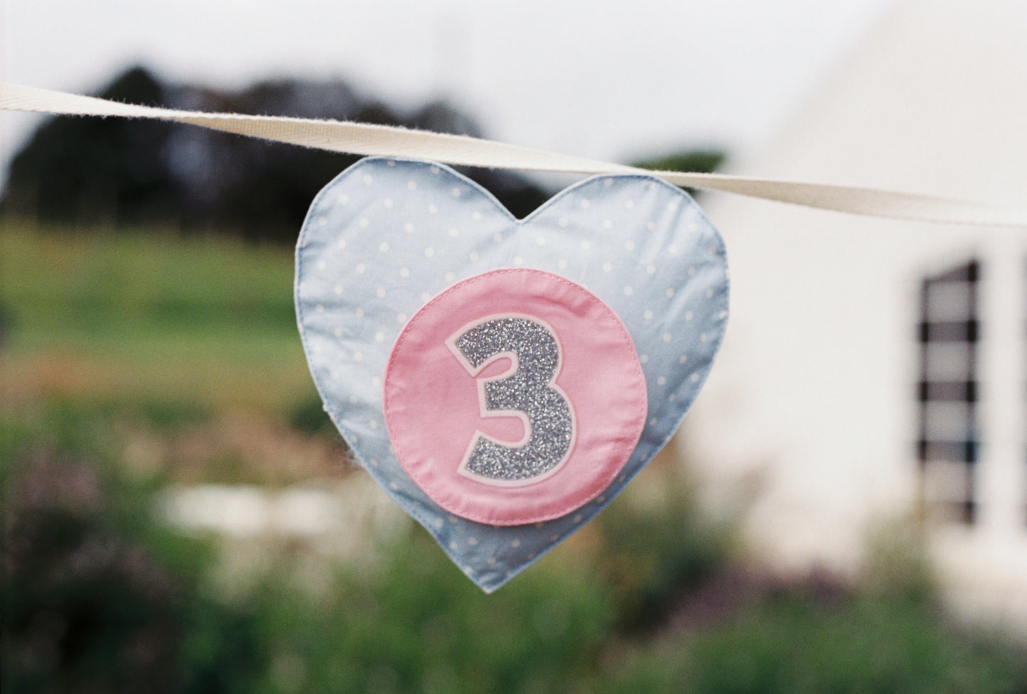 Birthday Banner - Hearts