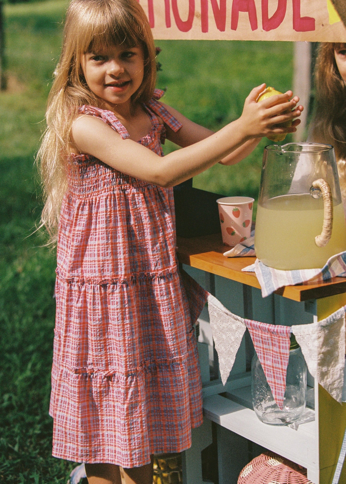 Belle Dress - Picnic Check