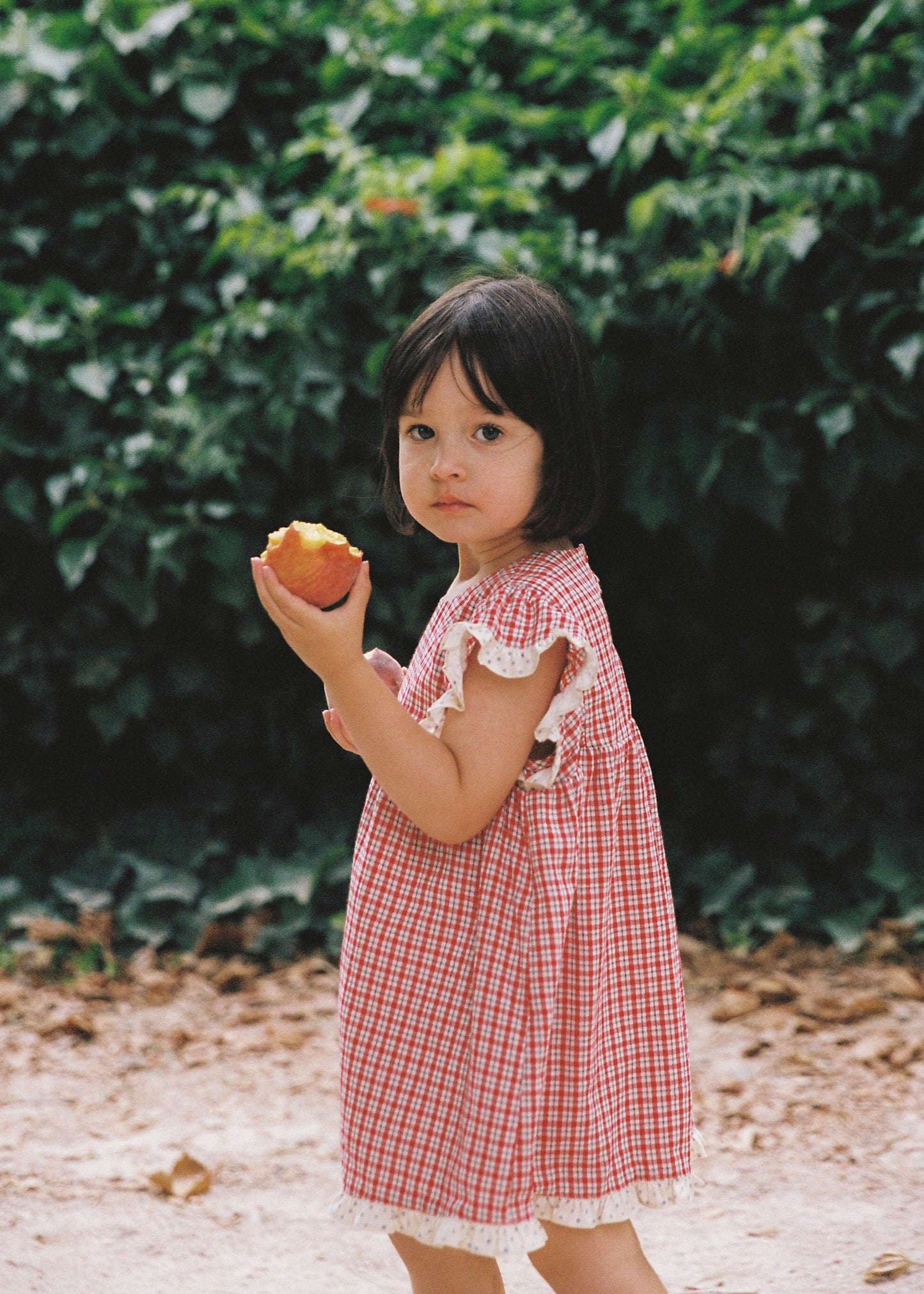 Daisy Dress - Red Check