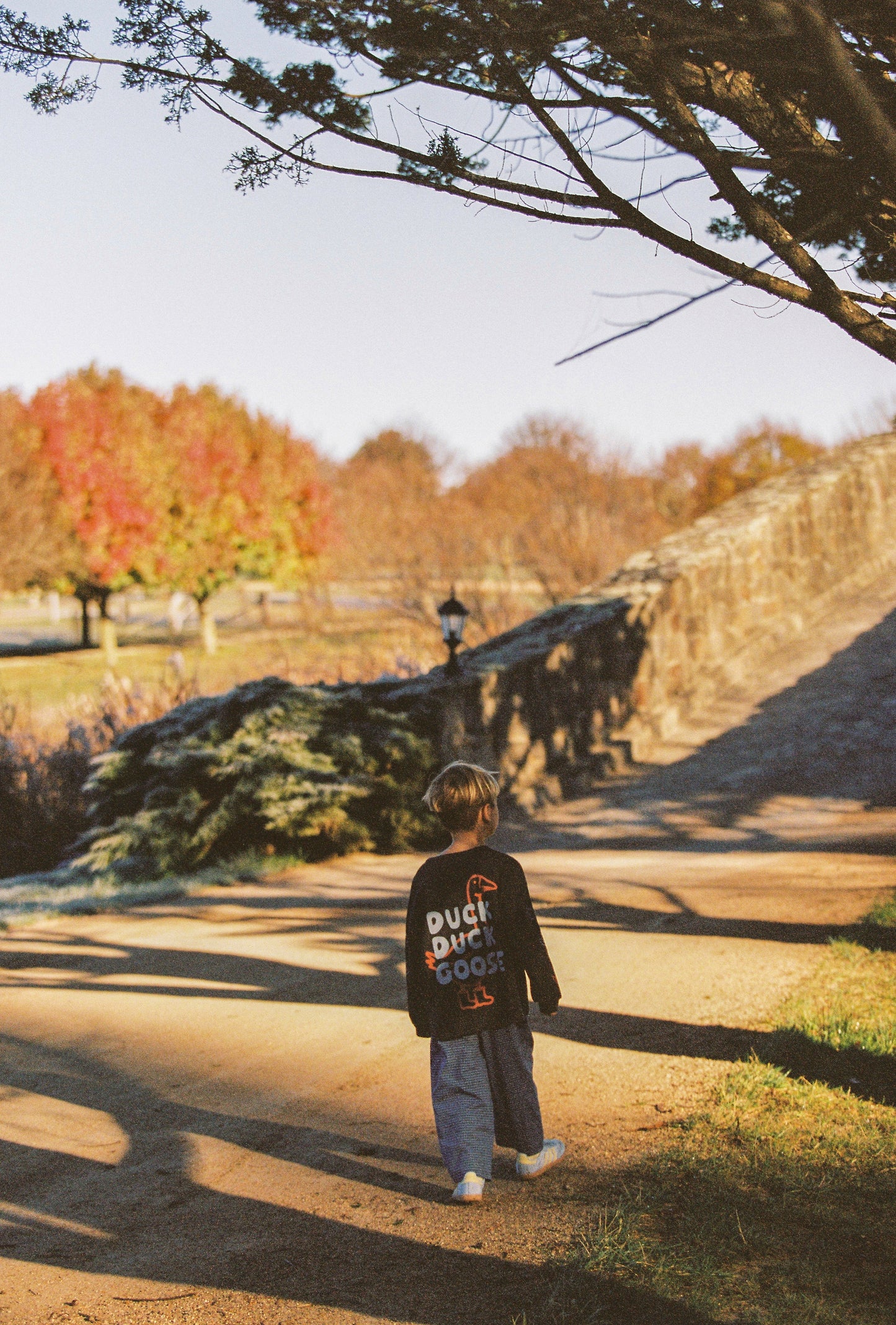 Duck Duck Goose Tee *Pre-Order