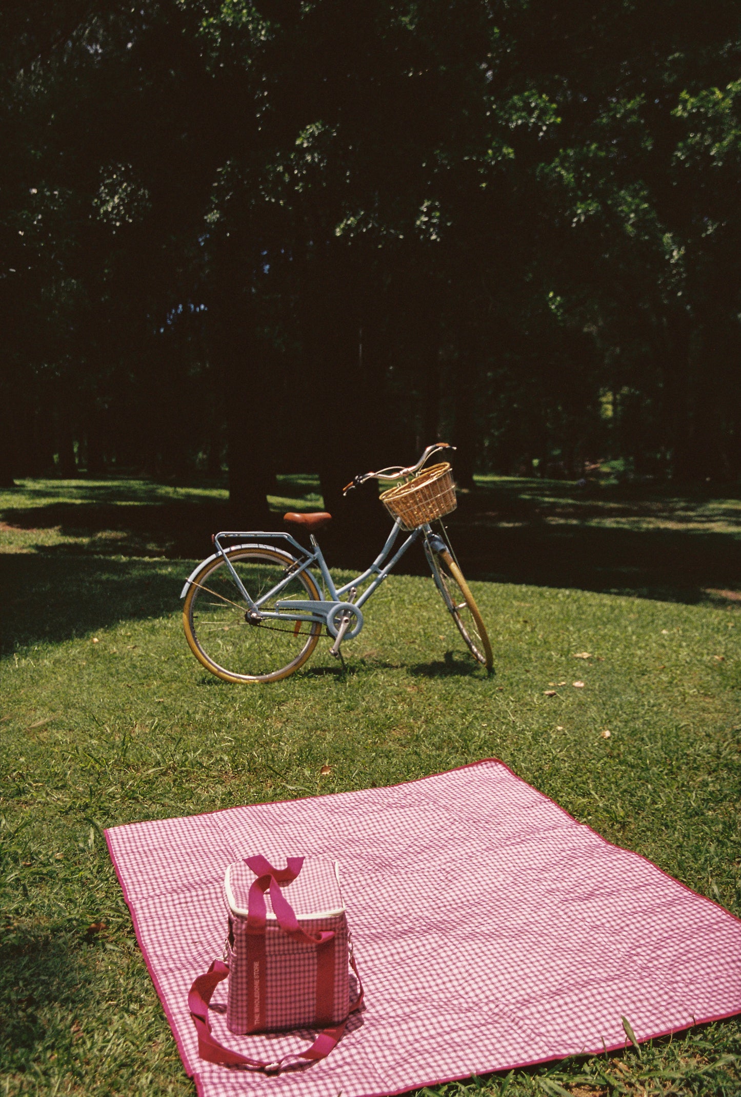 Picnic Rug - Berry Plaid