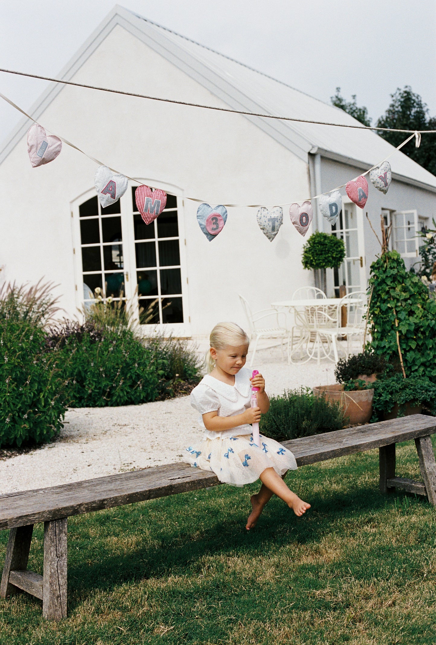 Birthday Banner - Hearts