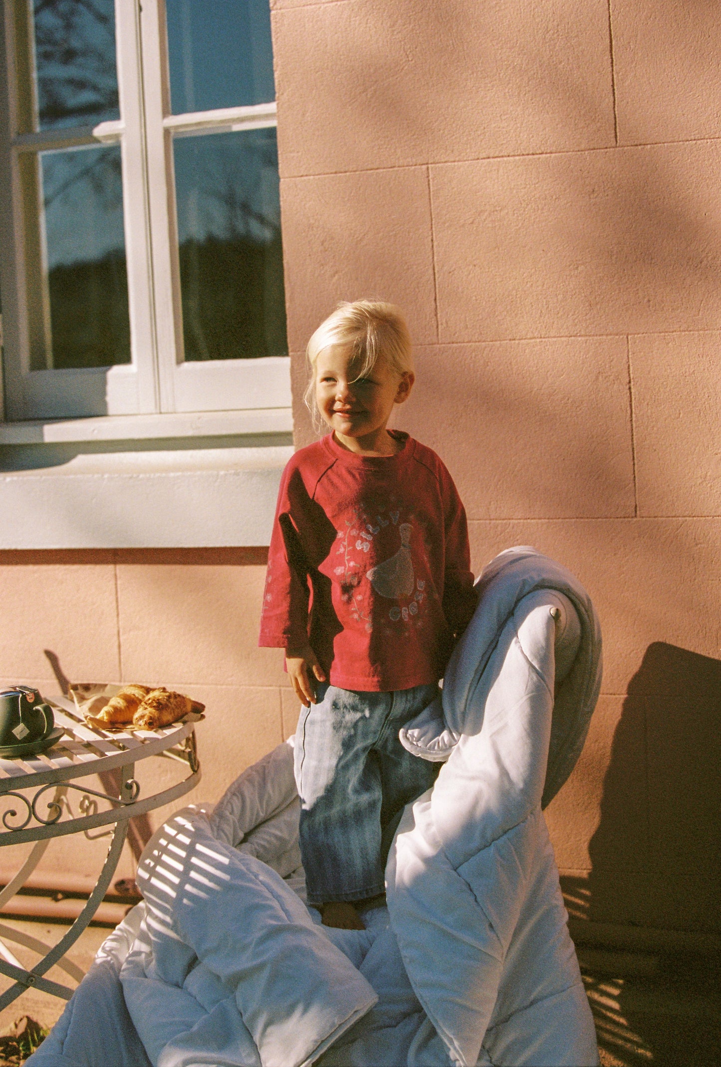 Silly Goose Tee *Pre-Order