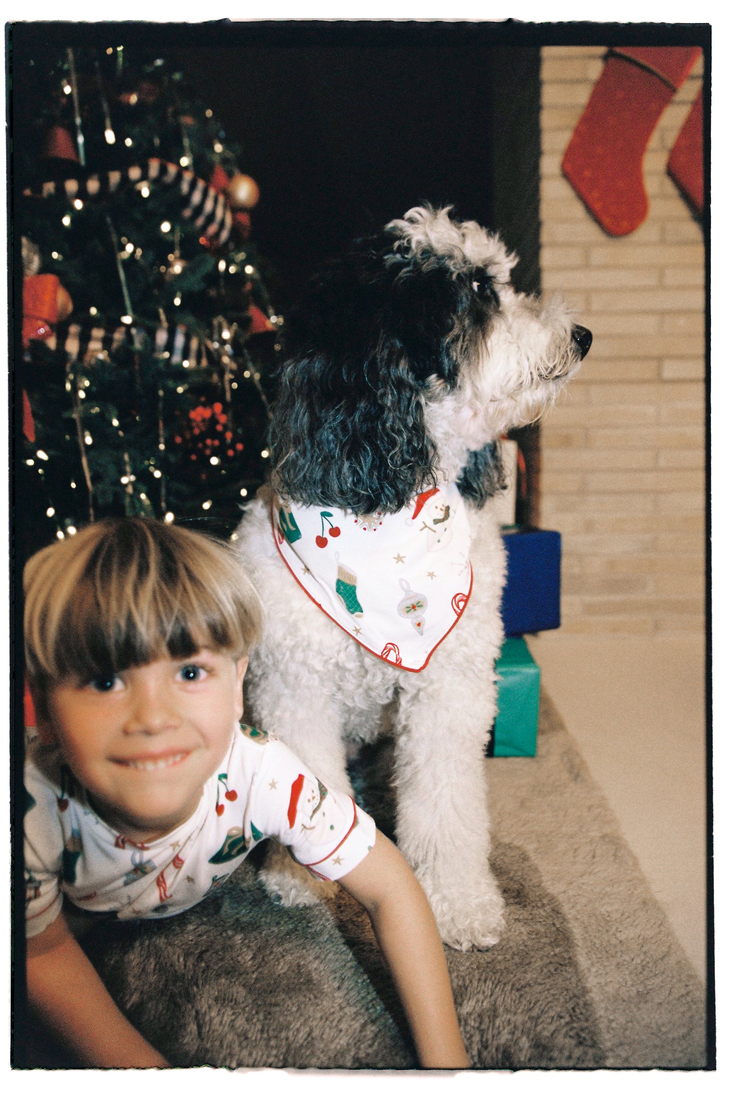 Jolly Pet Bandana