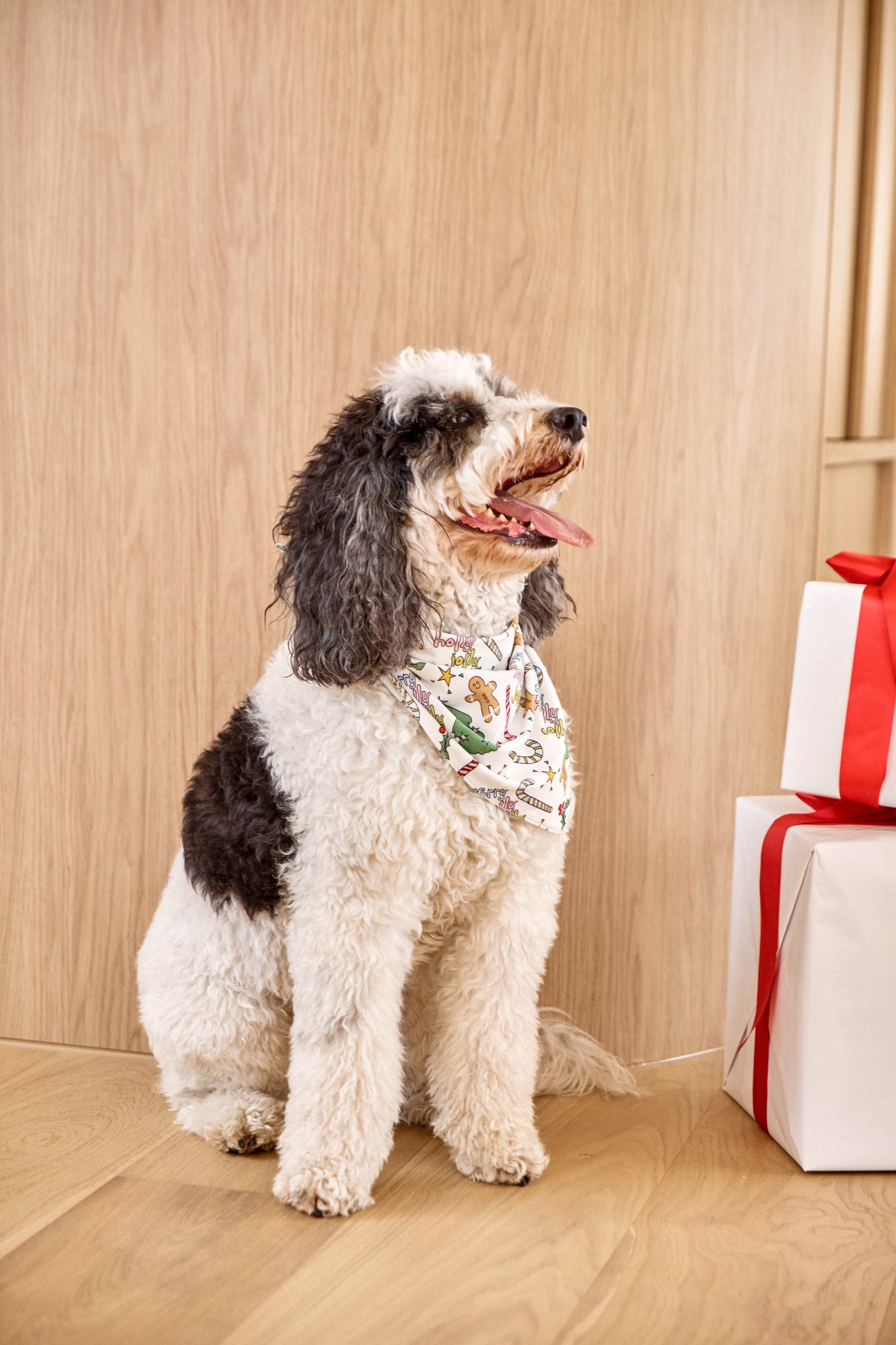 Jolly Pet Bandana