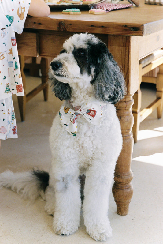 Jolly Pet Bow *Pre-order