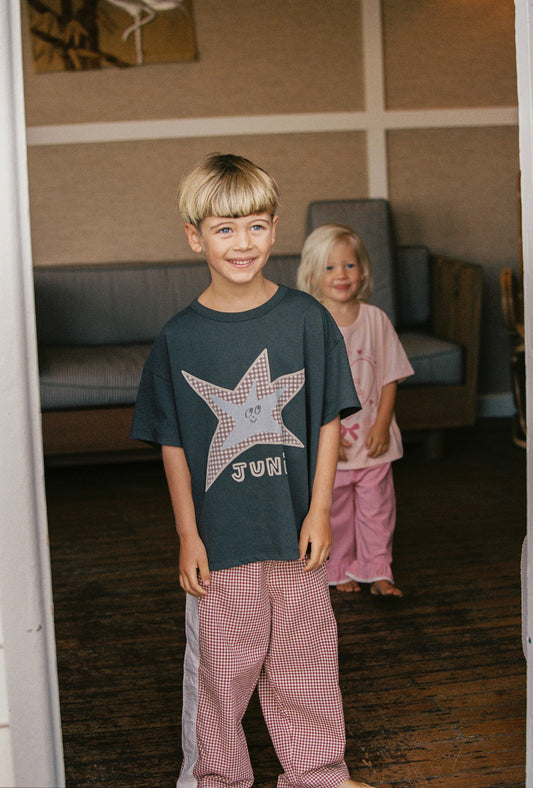 Danny Pant - Cinnamon Gingham