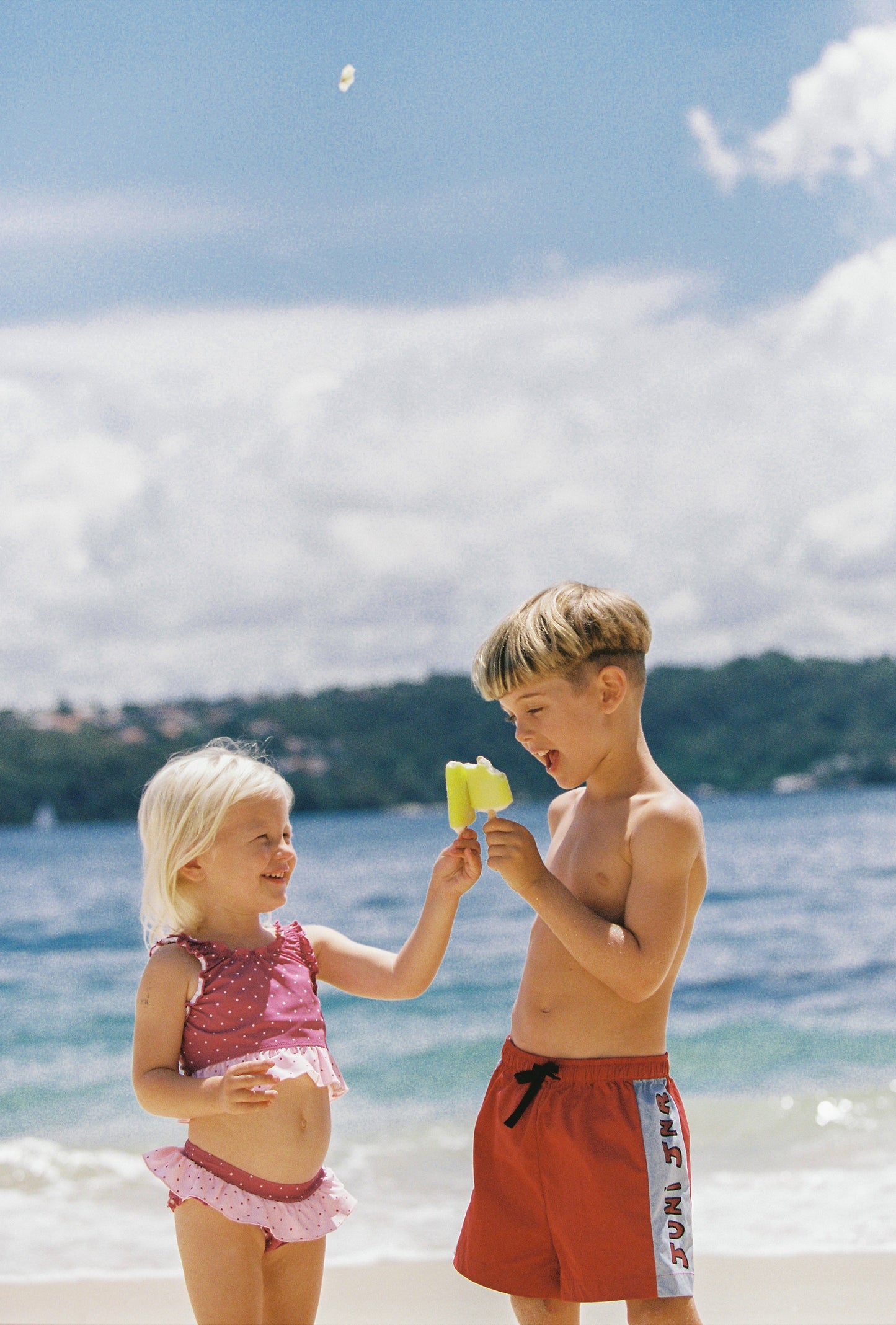 Lucille Bikini Set - Berry Spot