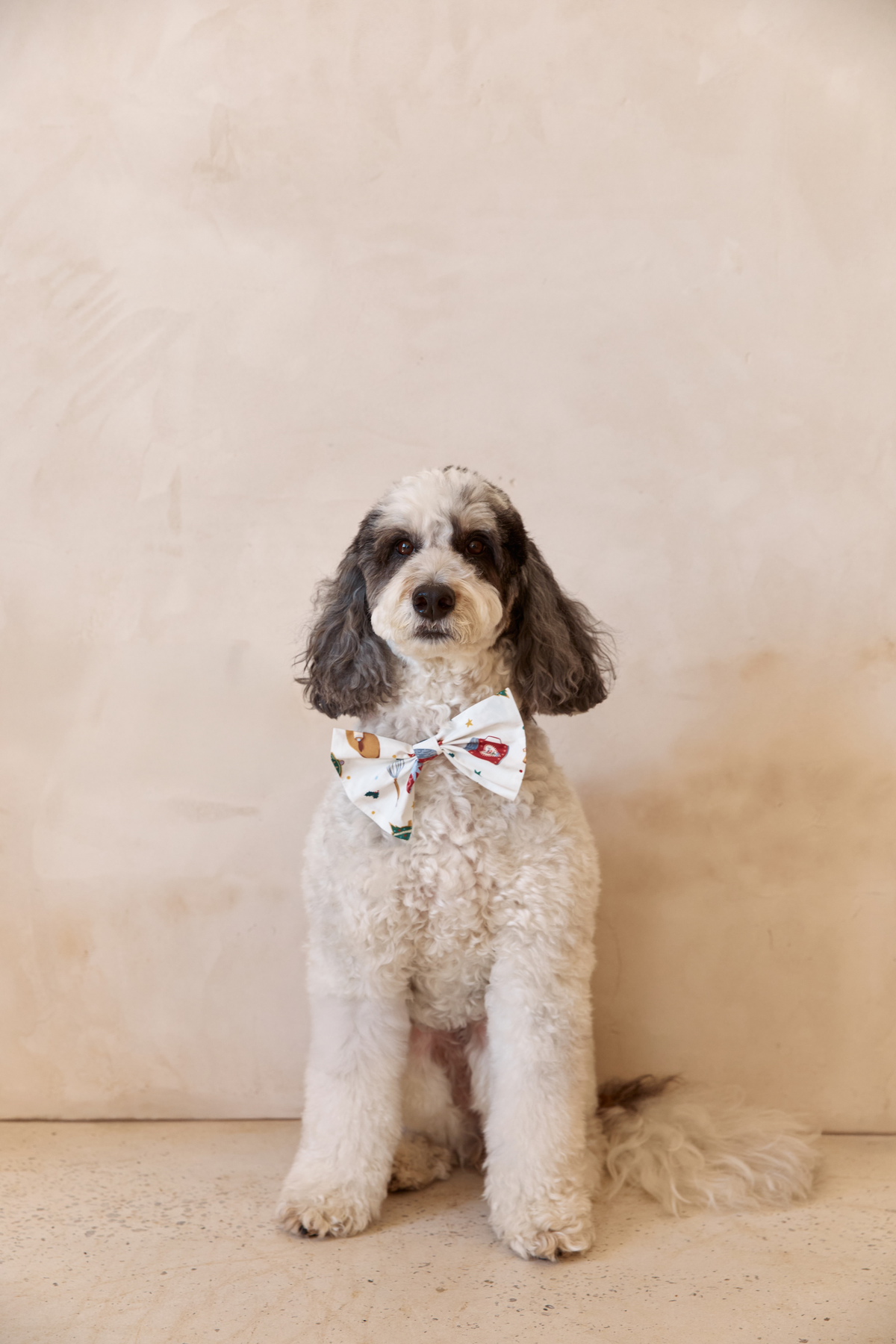 Jolly Pet Bow *Pre-order