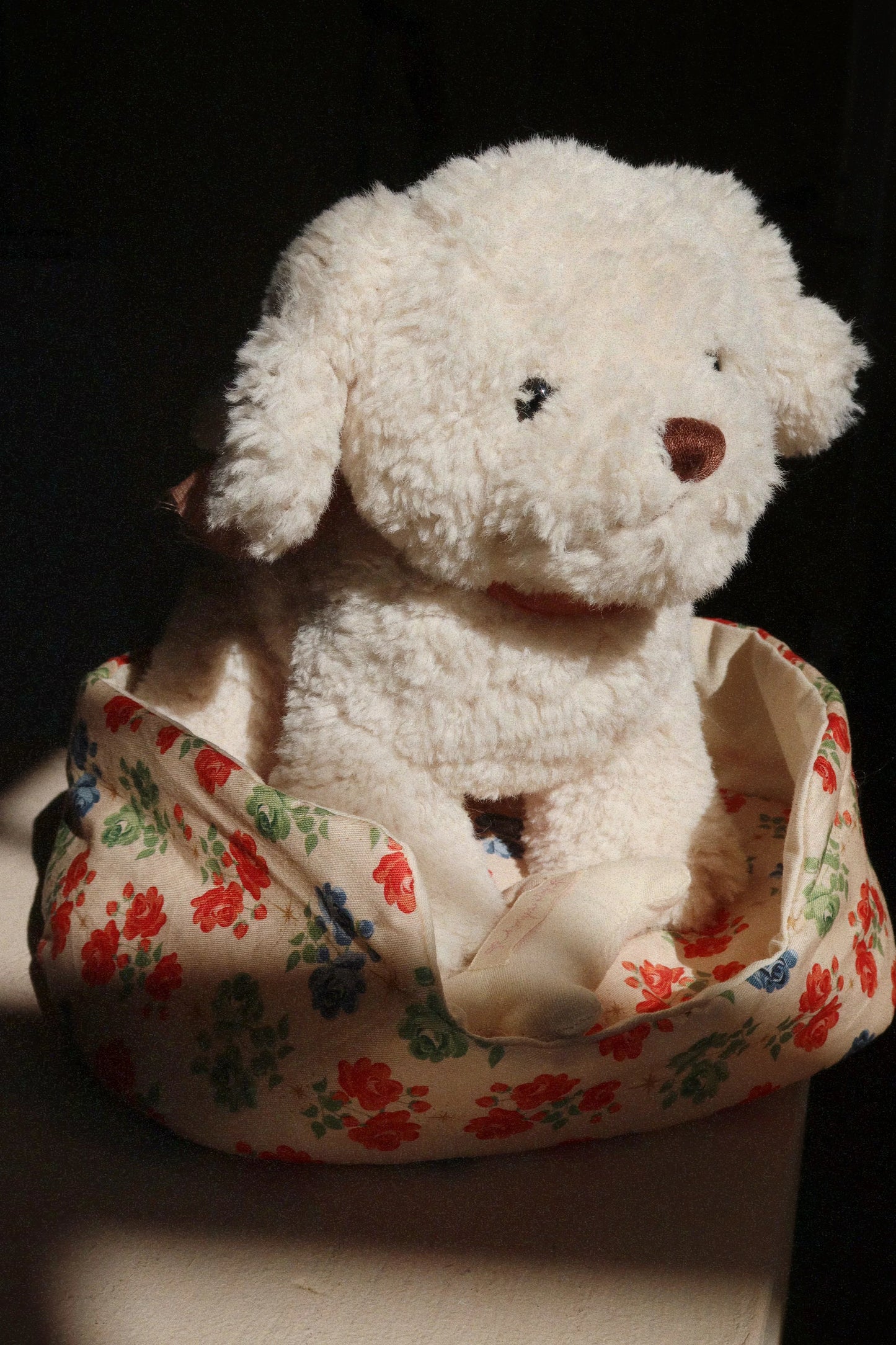 Madeleine Puppy - Fiola