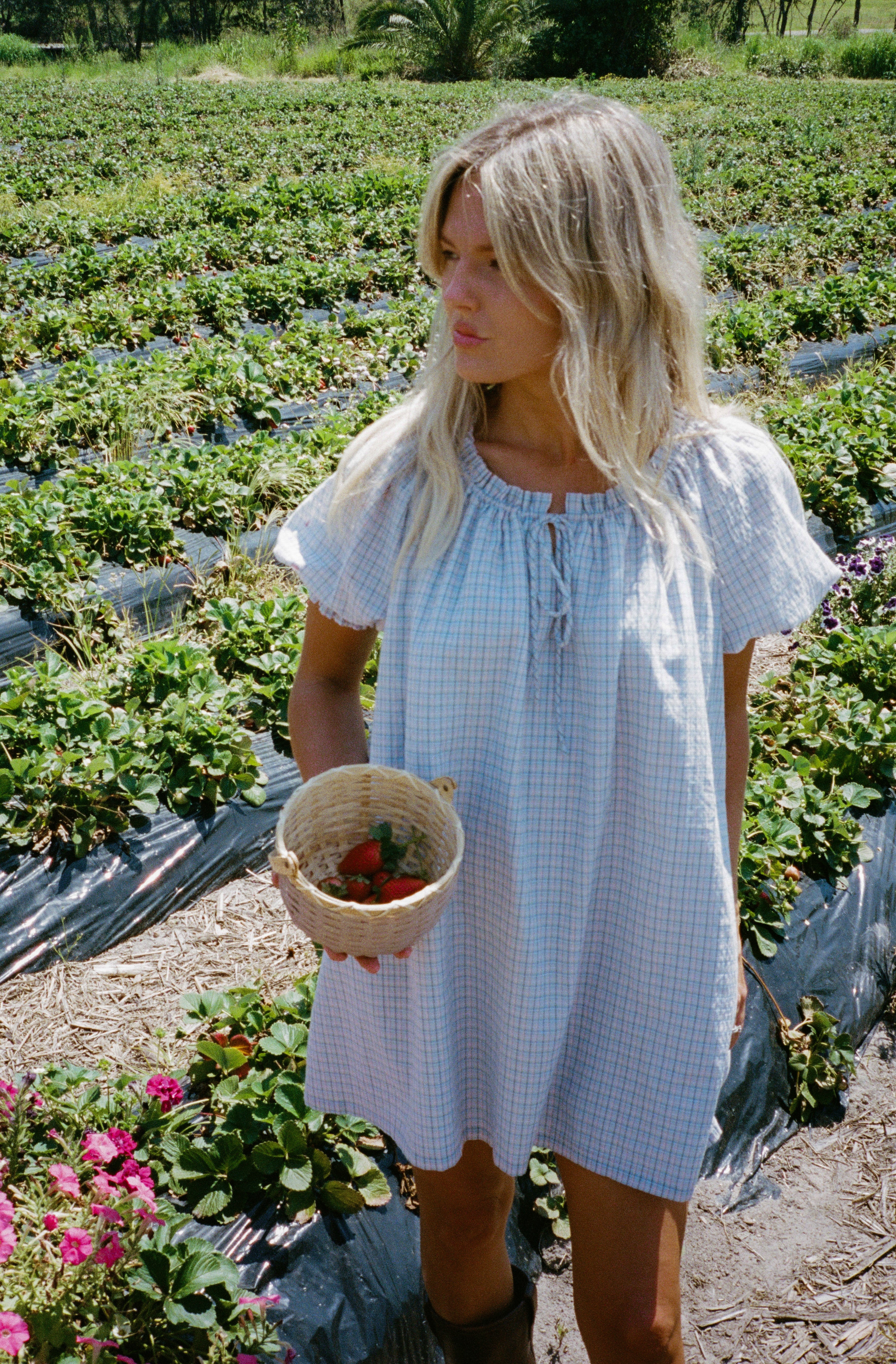 Jasmine Mini Dress - Check – The Wholesome Store