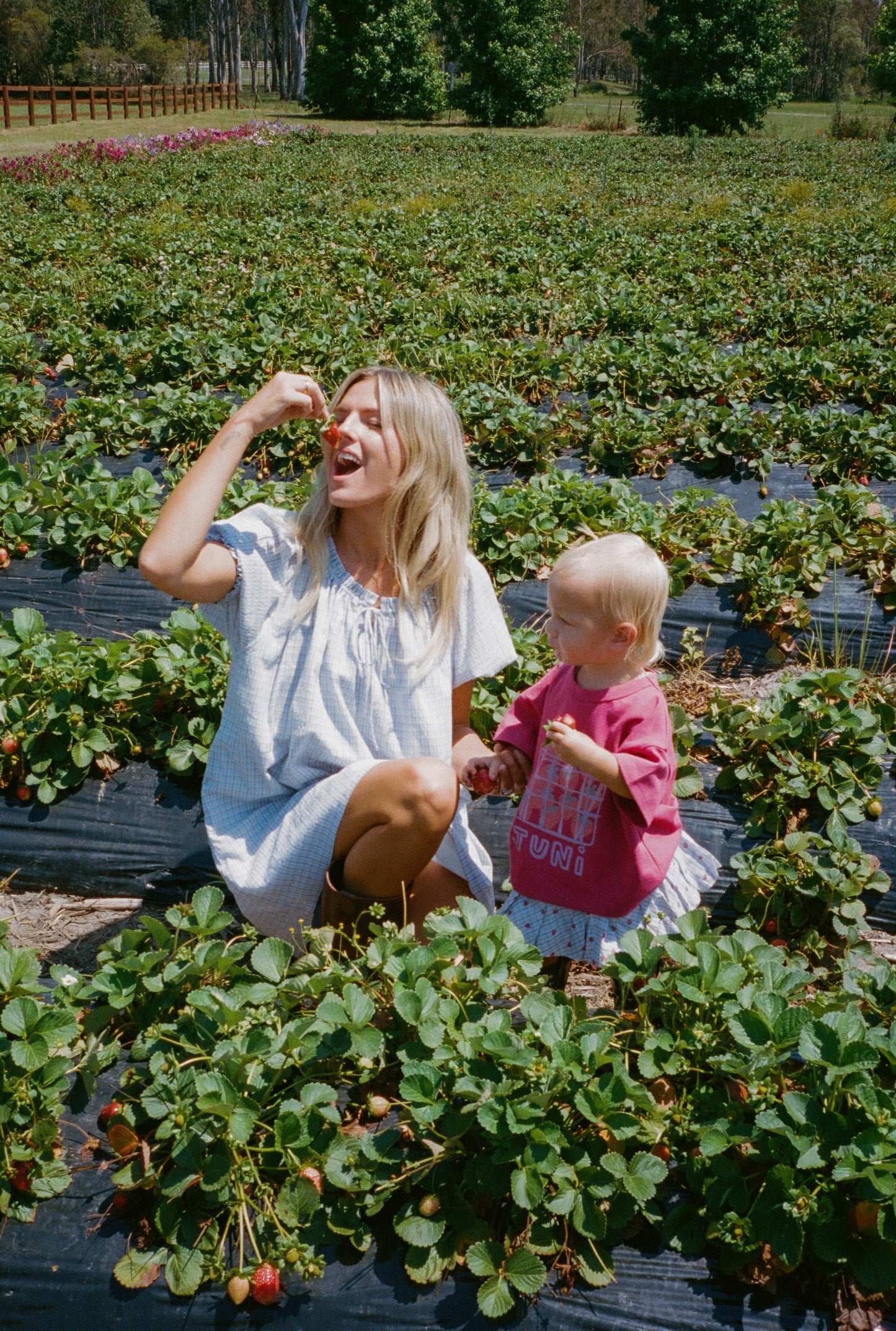 Punnet Tee - Berry *Pre-Order