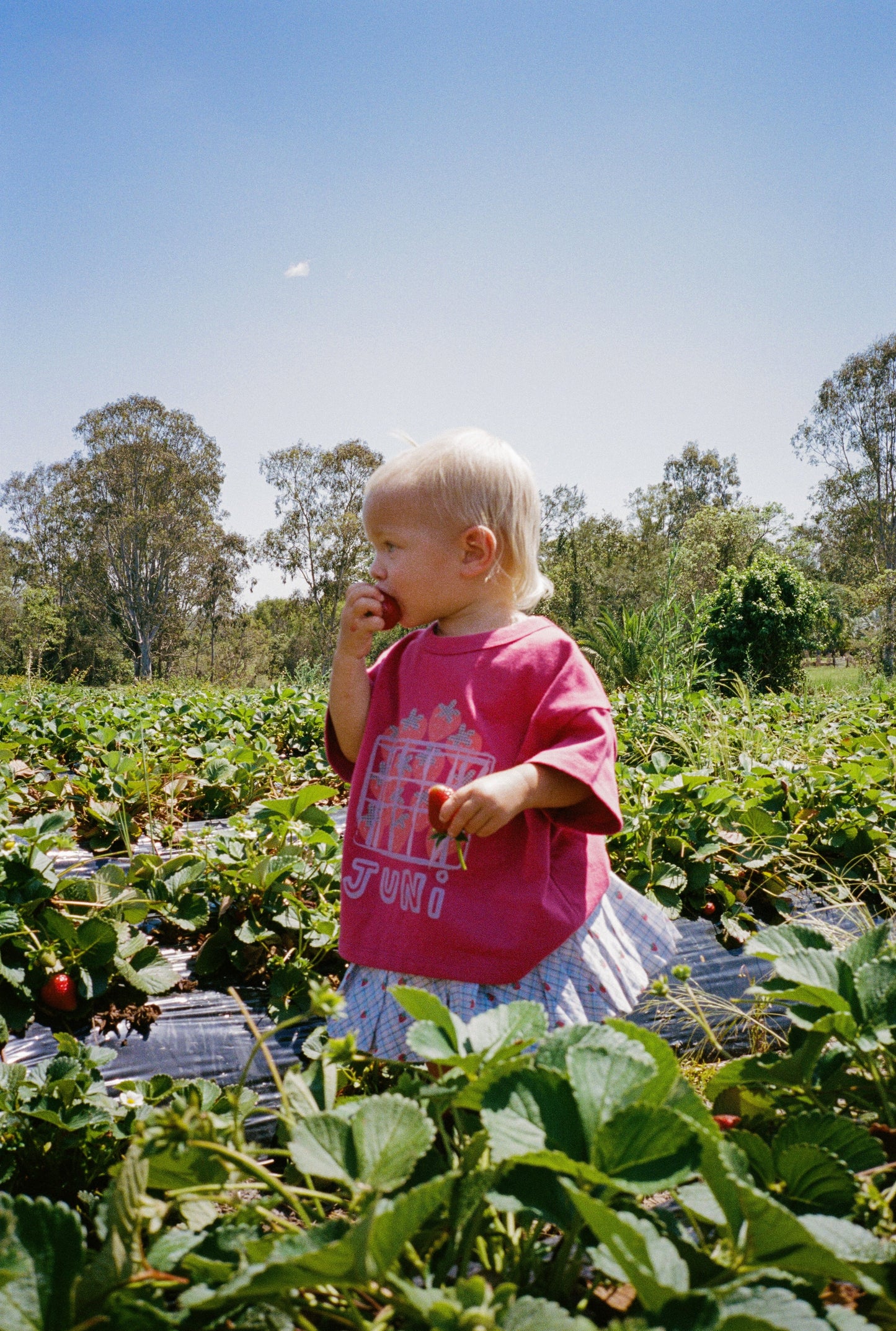 Punnet Tee - Berry *Pre-Order