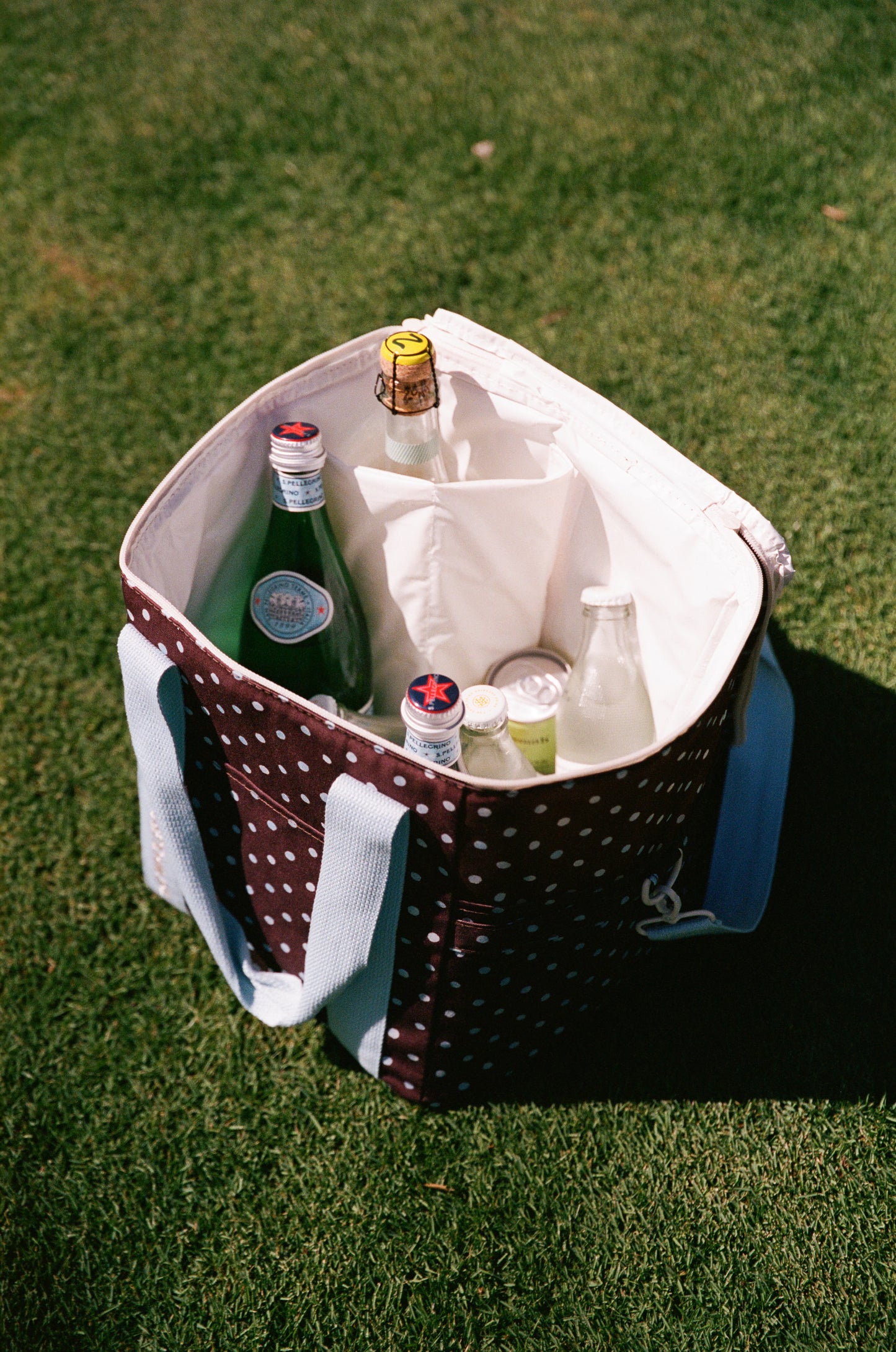 Picnic Cooler Bag - Espresso