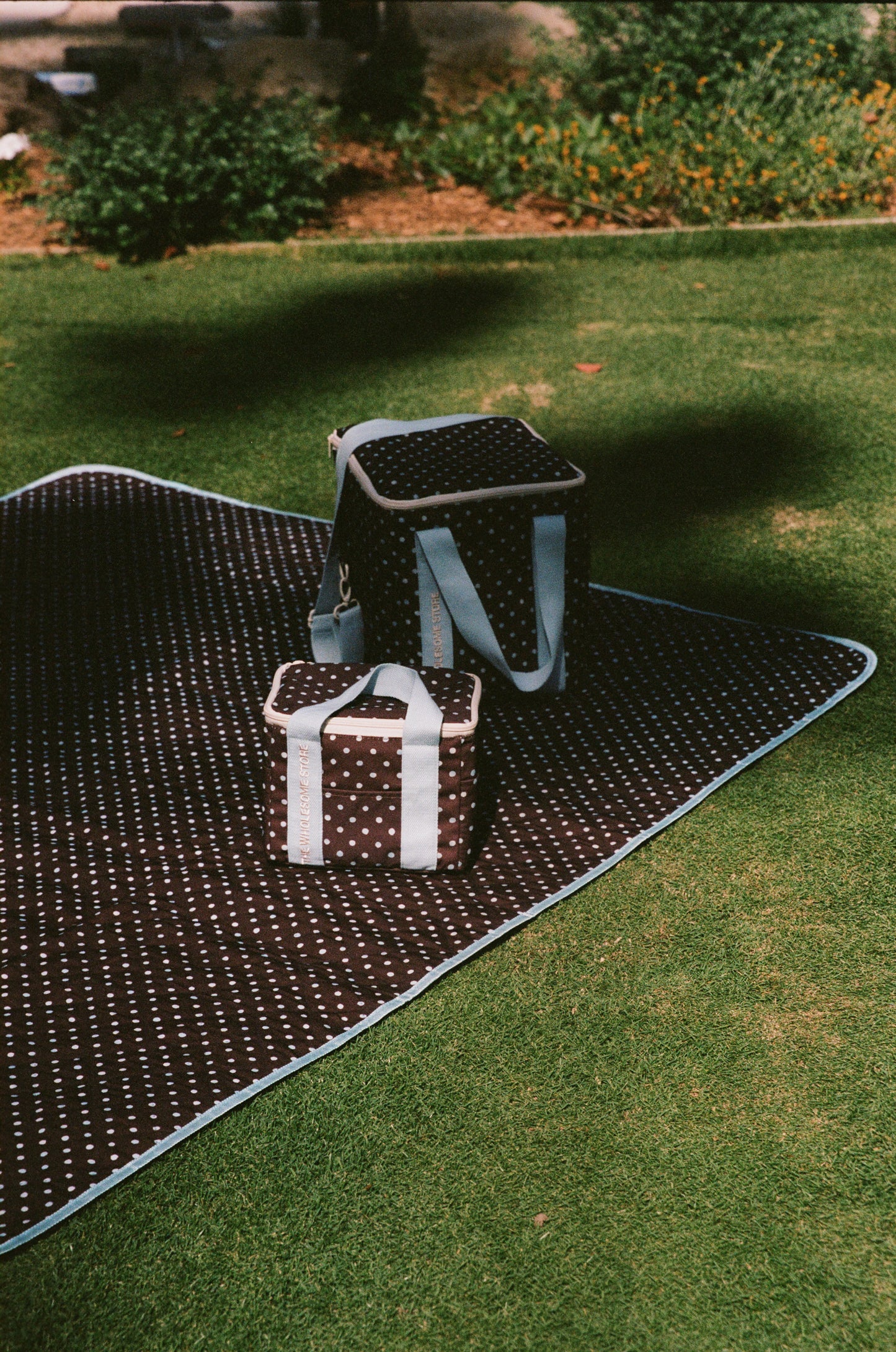 Lunch Cooler Bag - Espresso