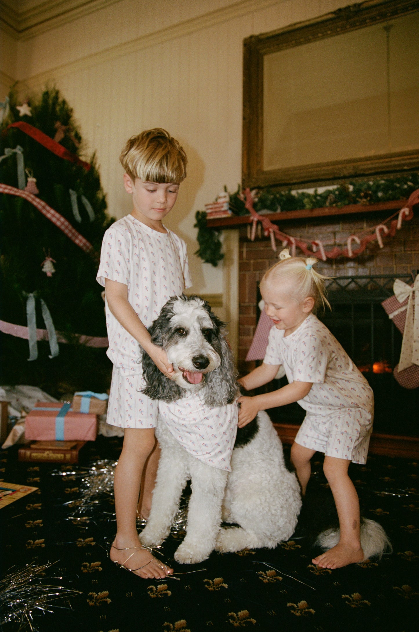 Candy Pet Bandana *Pre-Order