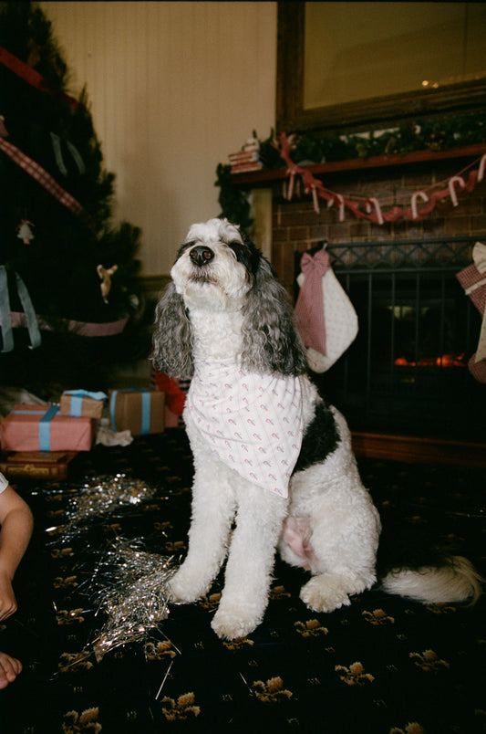Candy Pet Bandana *Pre-Order