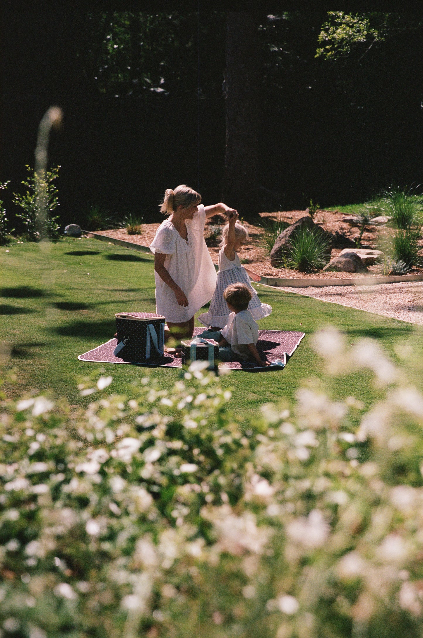 Picnic Cooler Bag - Espresso