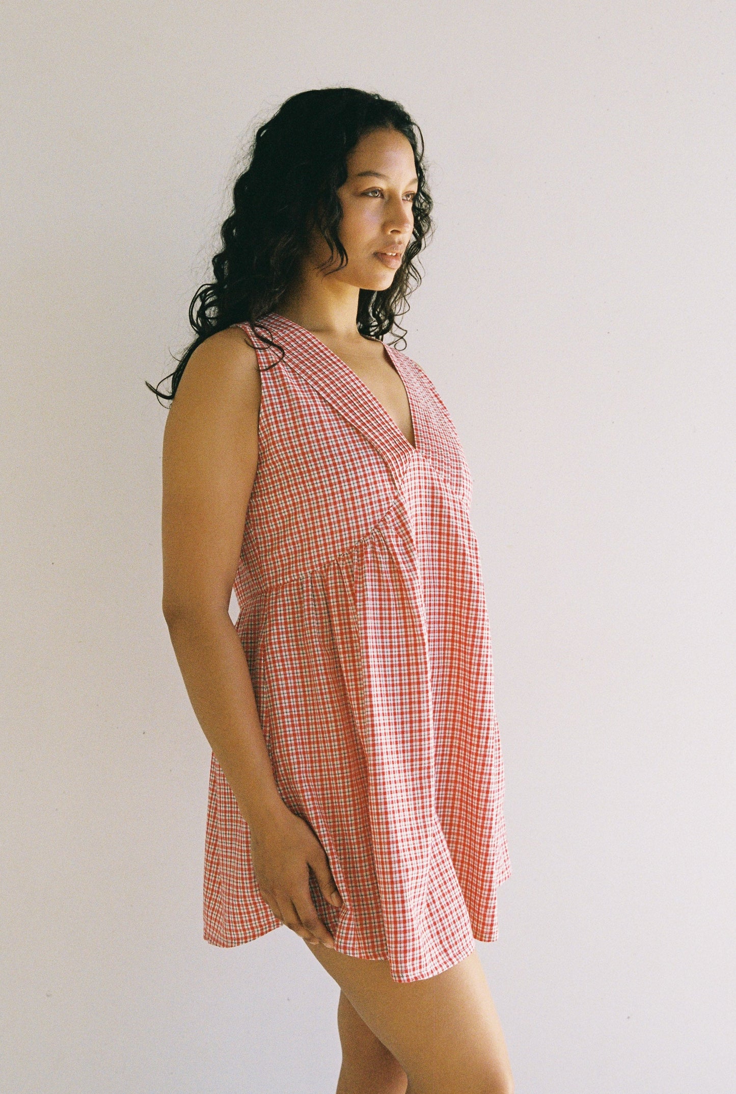 Hunter Mini Dress - Red Check