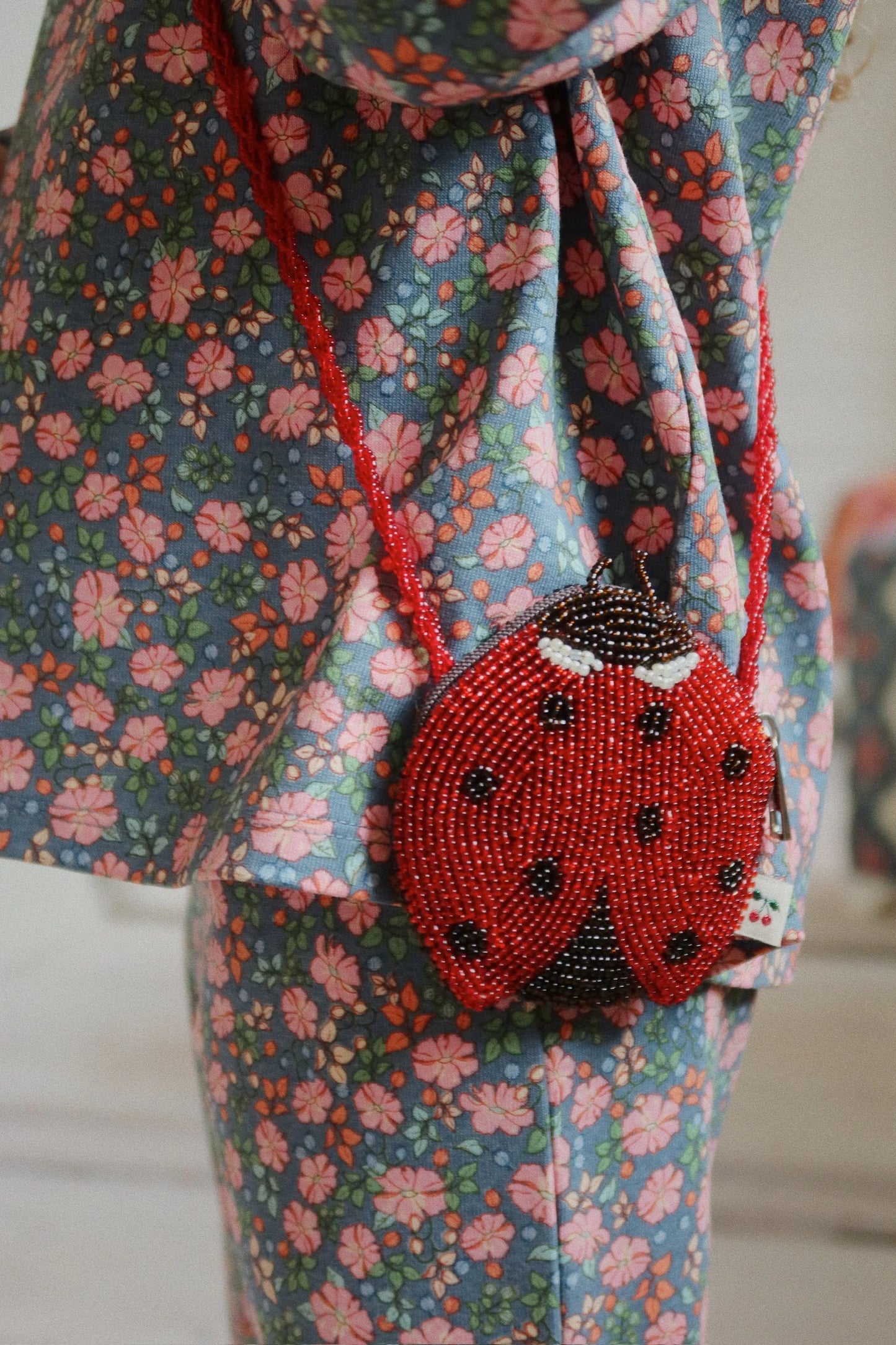 Ladybug bag