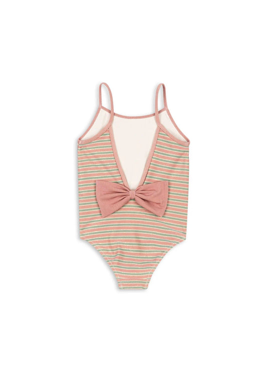 Bowwow Swimsuit - Blush Stripe