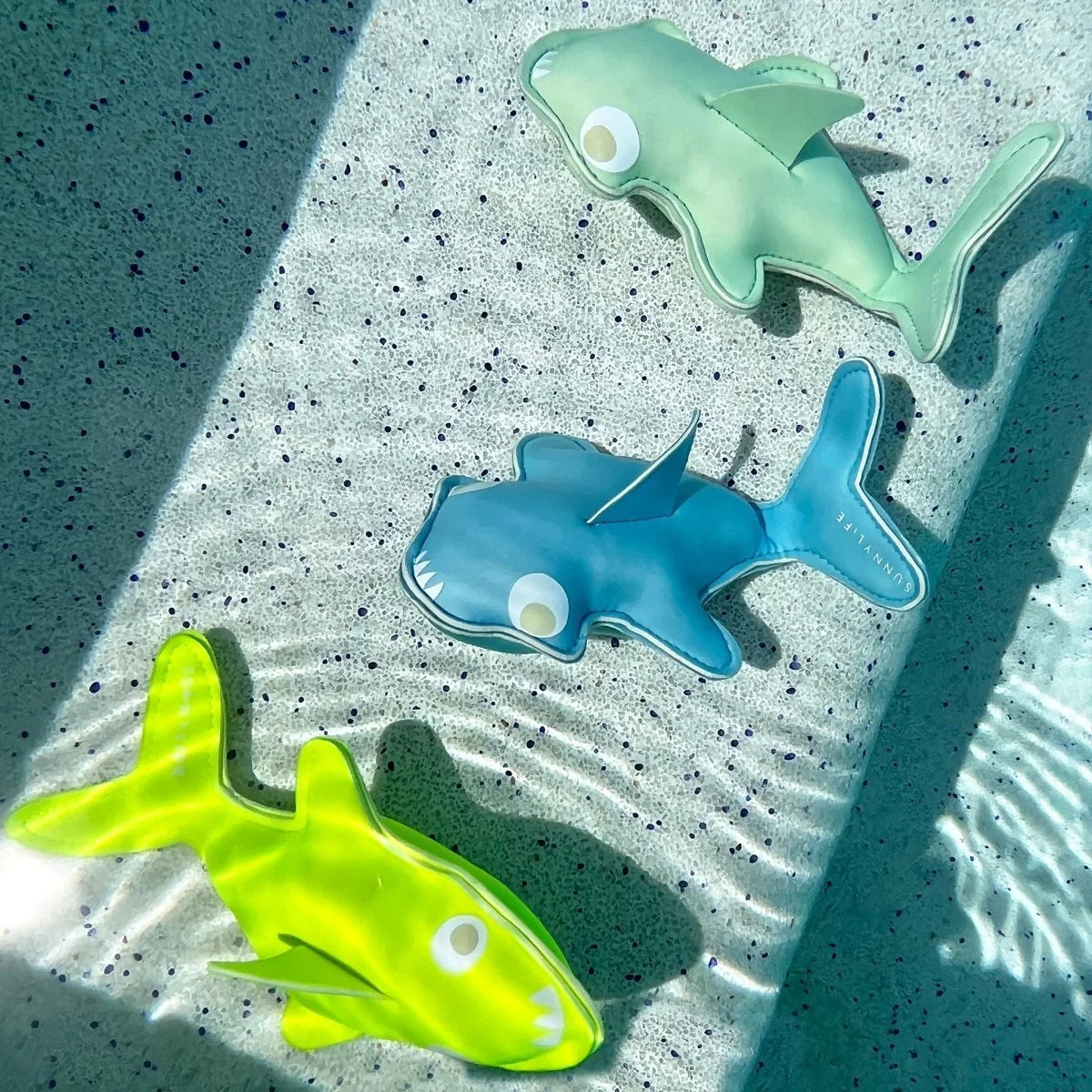 Dive Buddies - Salty The Shark