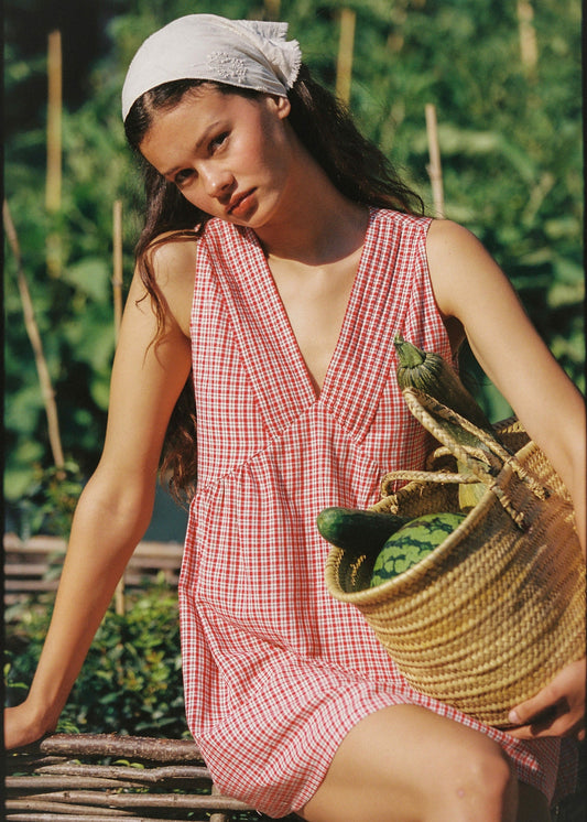 Hunter Mini Dress - Red Check