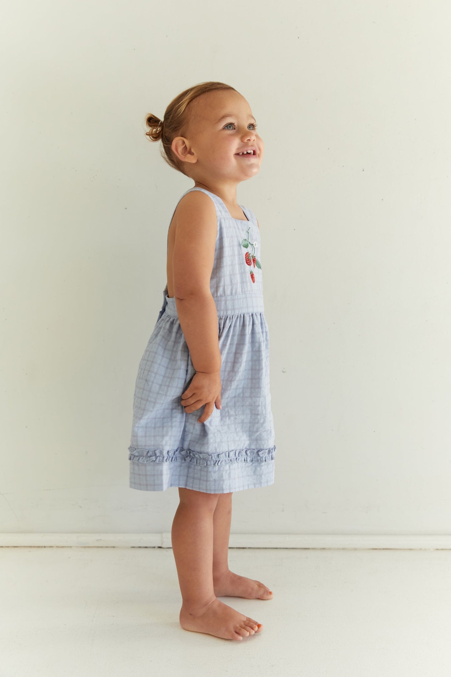 Coco Dress - Sky Gingham