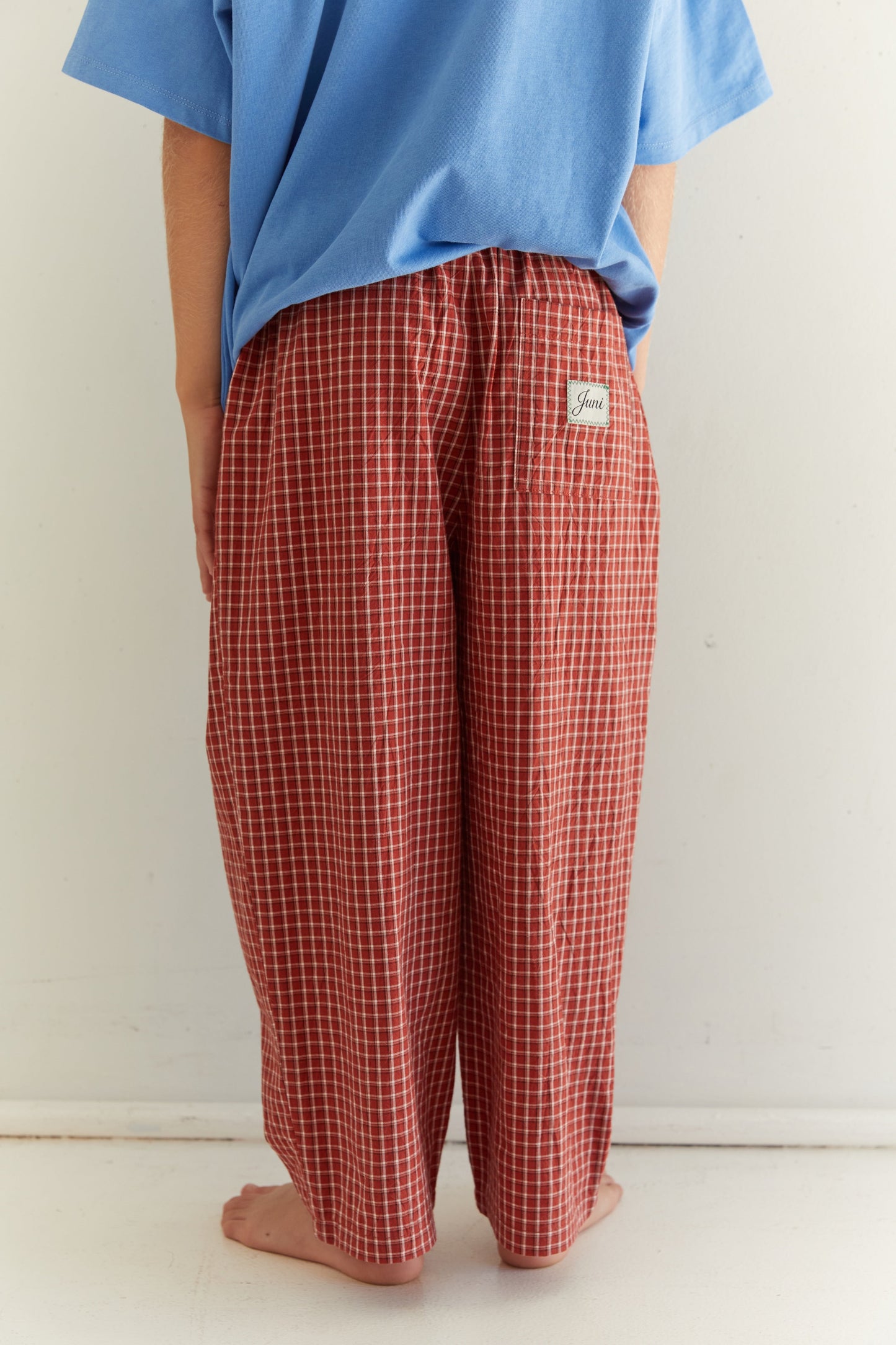 Benji Pant - Red Check